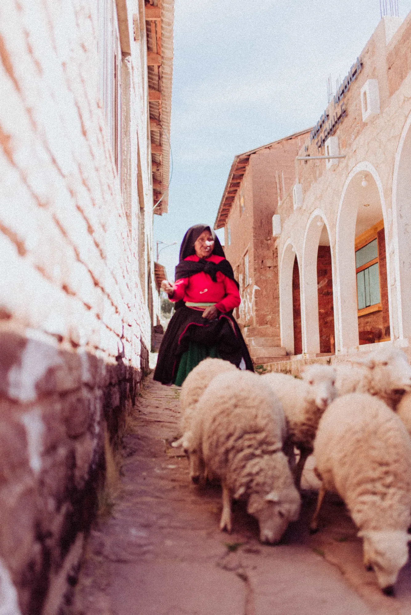 Mujer arreando ovejas por un camino estrecho de un pueblo
