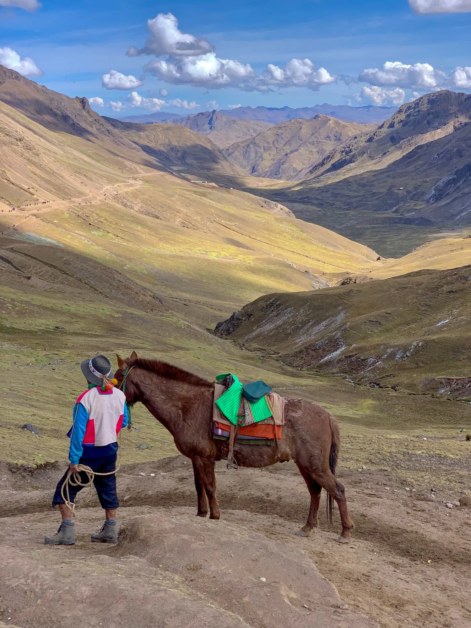 Persona de pie junto a un caballo ensillado sobre un amplio valle de montaña