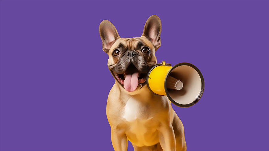 Cast Influence — Denver PR agency