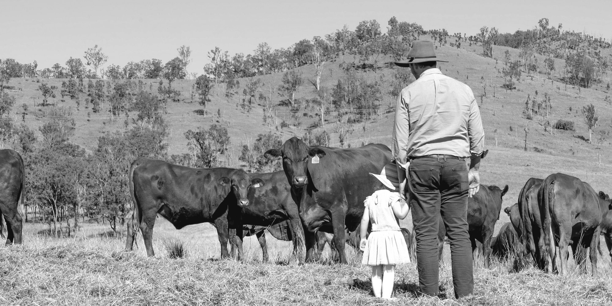 Cultivate Agri Partnerships
