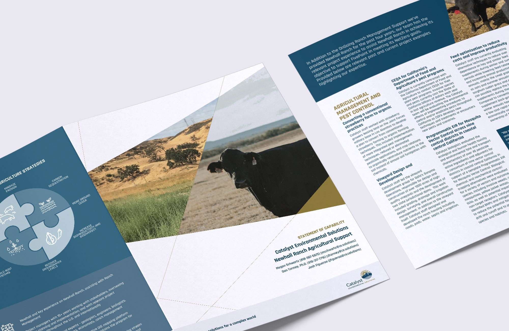 Catalyst Environmental Solutions capability statement pages
