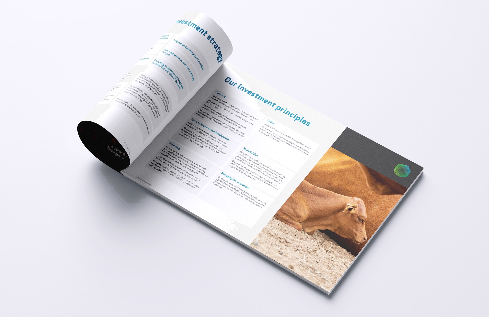 Cultivate Agri Partnerships investment deck pages