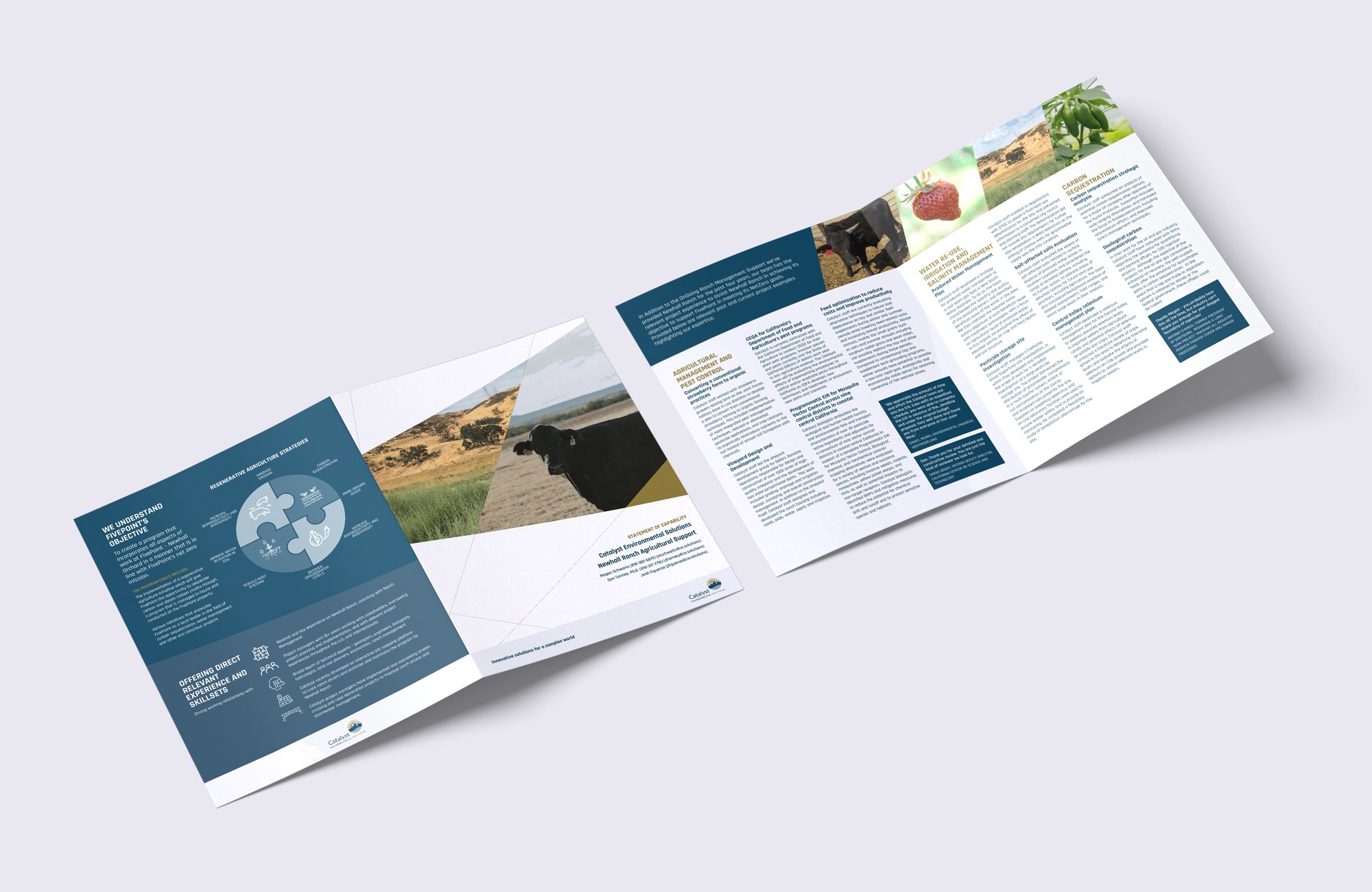 Catalyst Environmental Solutions capability statement spread