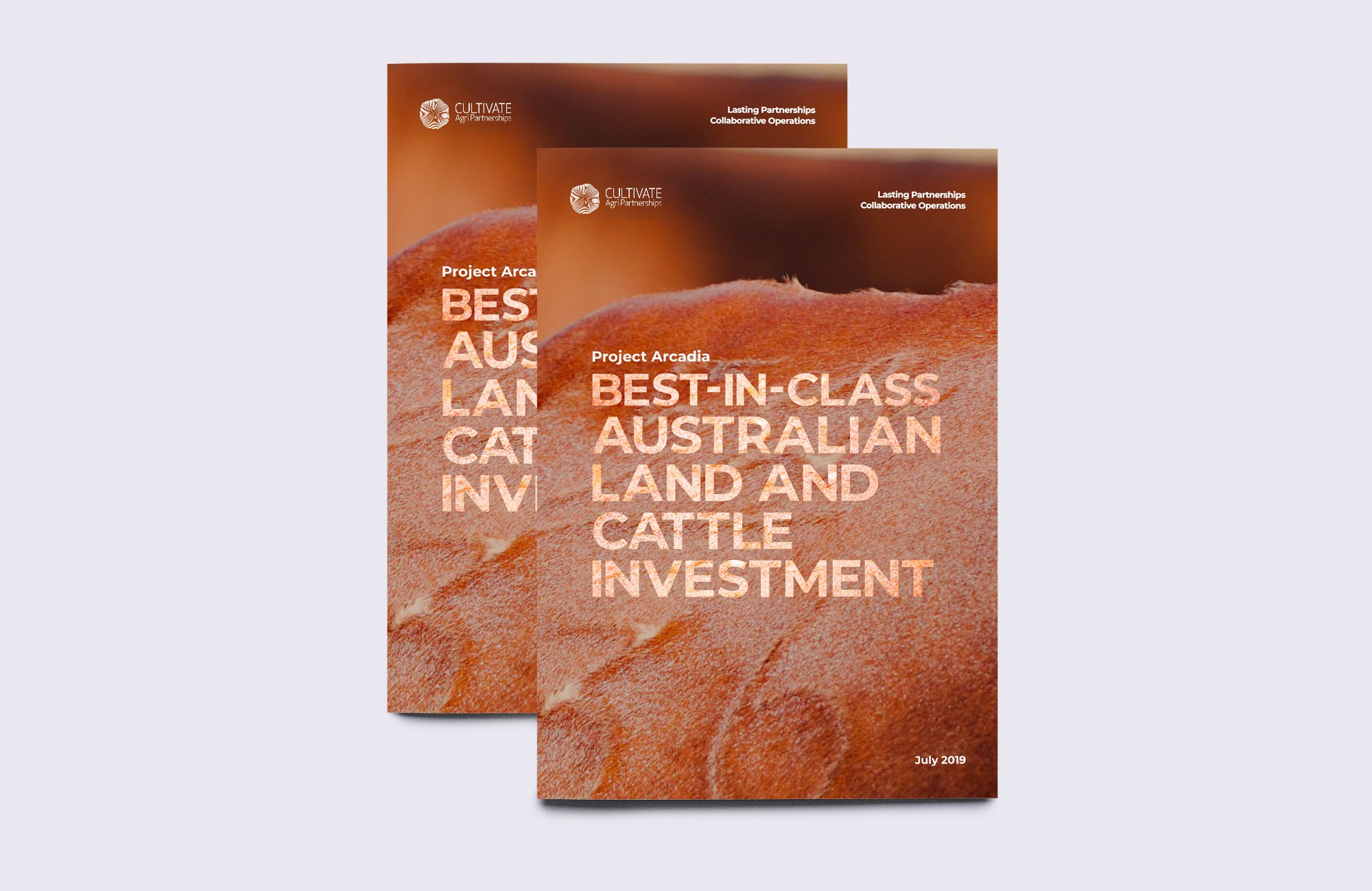 Cultivate Agri Partnerships Project Arcadia investor teaser covers