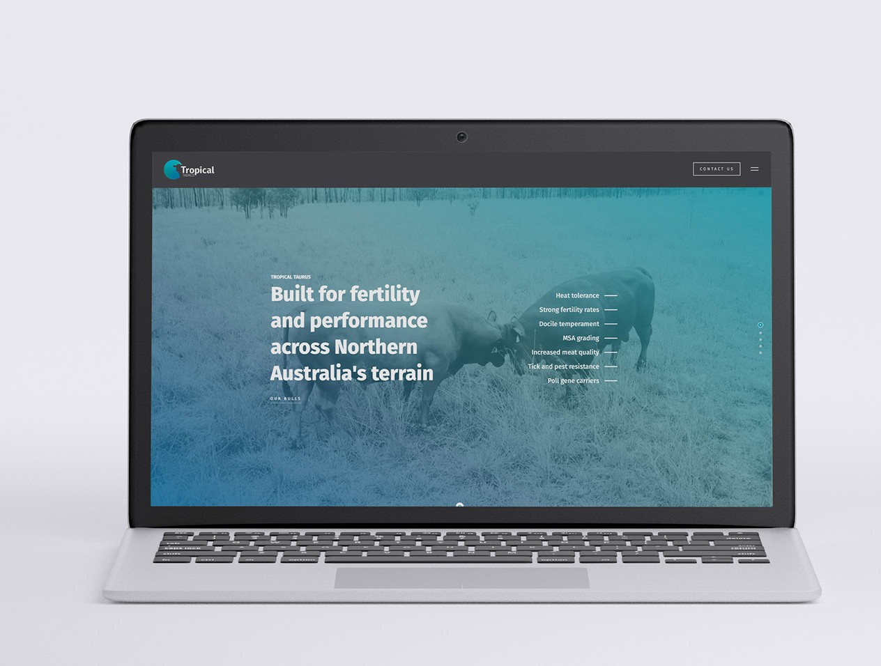 Tropical Taurus website on a laptop