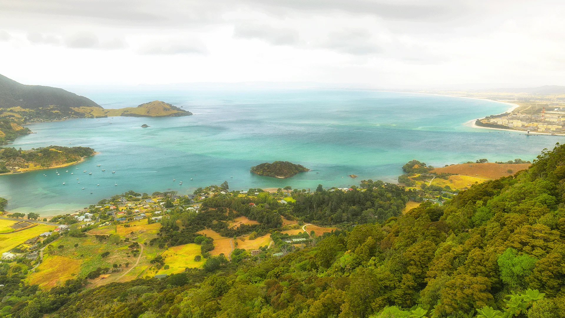 Northland coastline from above