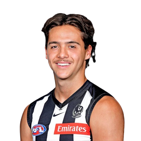 Will Hayes