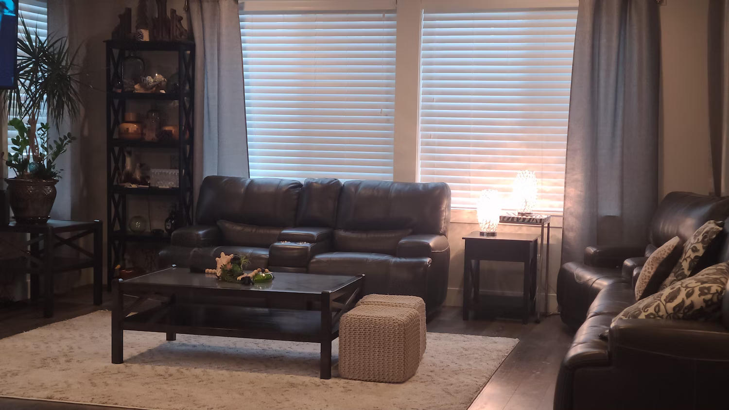 Tidy living room with leather sofas and an area rug