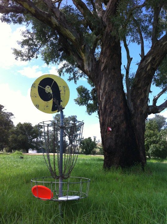 Disc golf basket at Great Aussie Holiday Park in New South Wales, set beside a large gum tree with open grass and parkland behind.