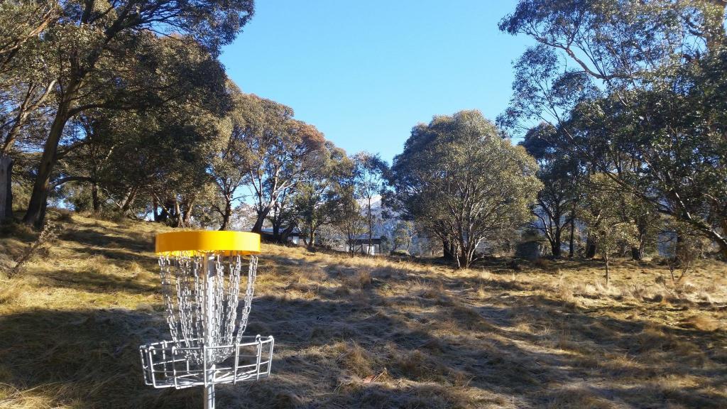 Lake Crackenback Resort Disc Golf Park basket set among native trees and open alpine grassland in the Snowy Mountains.