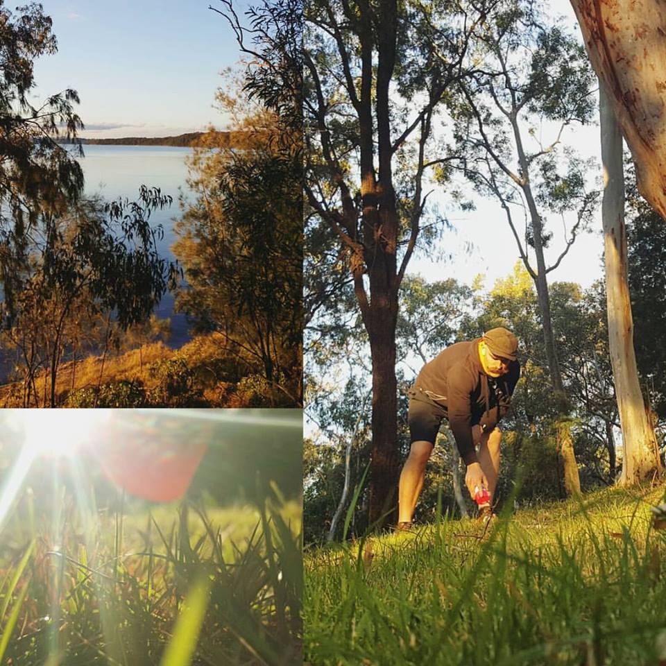 Three scenes from a wooded course: a lake at dusk, sunlight through long grass, and a player crouching to collect a disc among the trees.