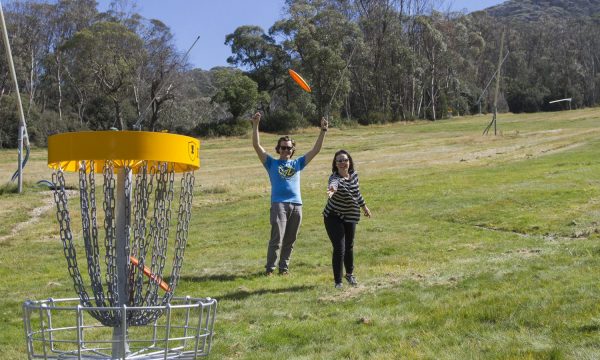 Two players celebrating beside a disc golf basket on a green alpine slope in summer, a disc in the air above them.