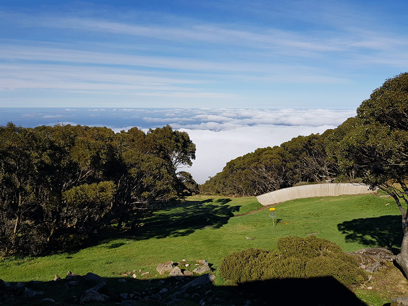 An alpine slope at Mt Baw Baw looking out over a valley filled with cloud.