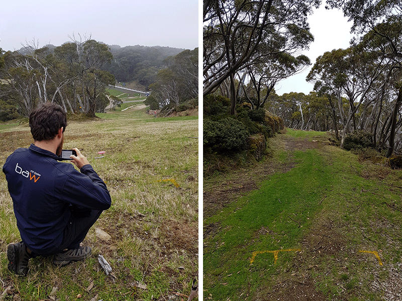 A man crouching to photograph an alpine slope, beside a grassy track winding through snow gums.