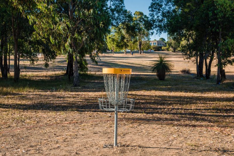A disc golf basket on dry open ground among gum trees, with a building behind.