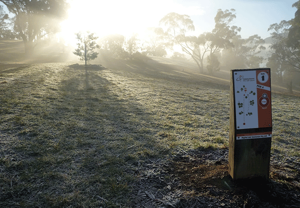 Misty parkland at sunrise, a disc golf information board catching the low sun.