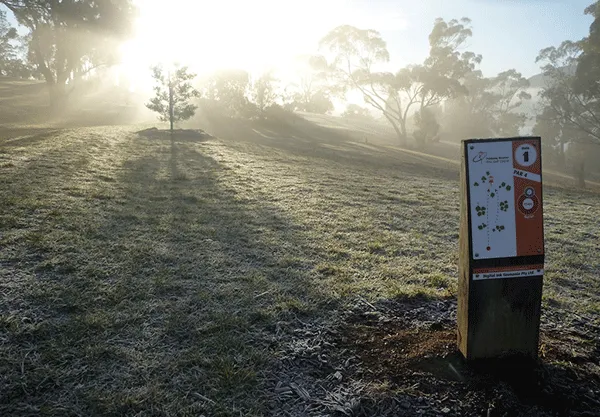Misty parkland at sunrise, a disc golf information board catching the low sun.
