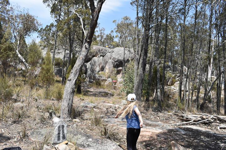 A player throwing a disc between granite boulders and gum trees.