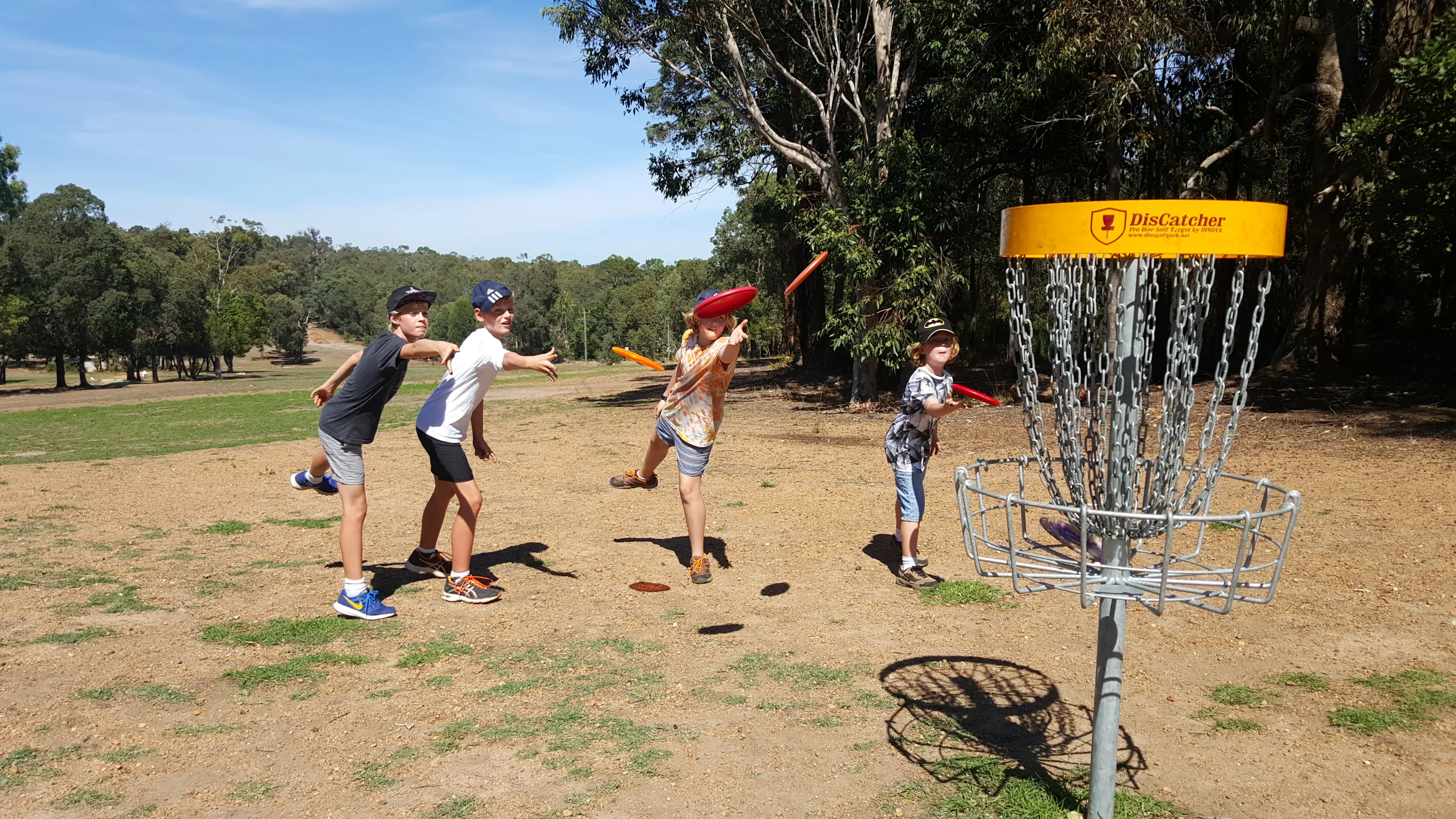 Several players throwing towards a basket on a dry course among gum trees.