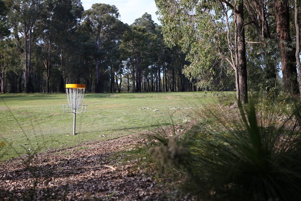 A disc golf basket on a mown clearing surrounded by tall forest.