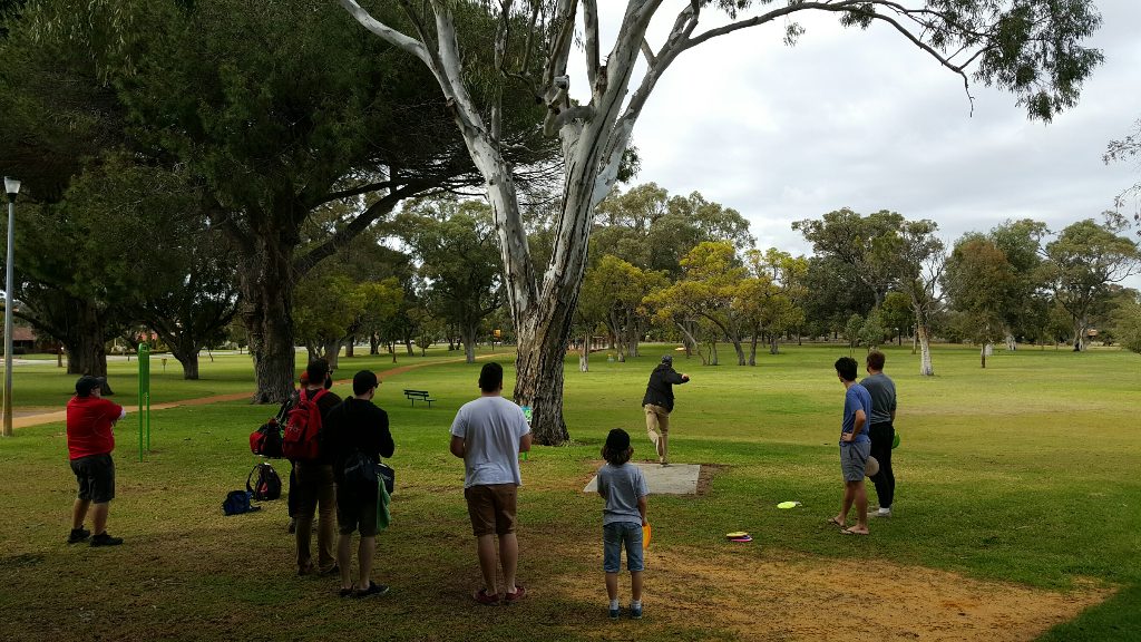 Families playing disc golf across open parkland shaded by large gum trees.