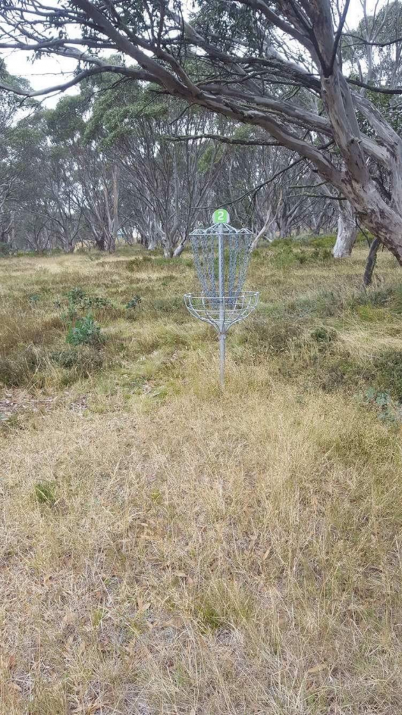 A disc golf basket among snow gums on dry alpine grass.