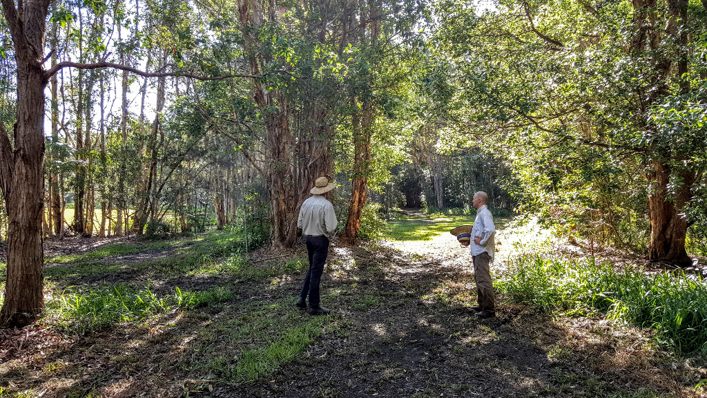 Two people standing in a shaded bushland clearing, assessing the site for a course.