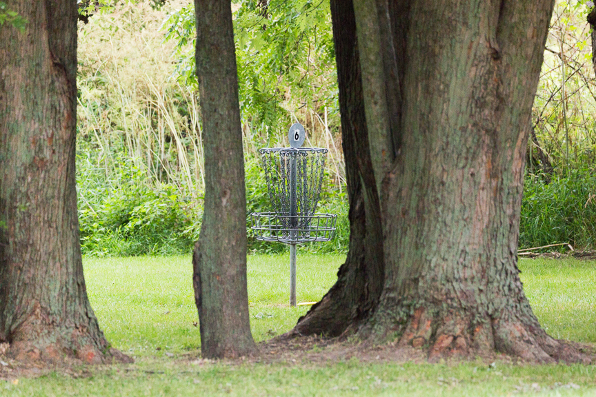 A disc golf basket standing on grass between two large tree trunks.