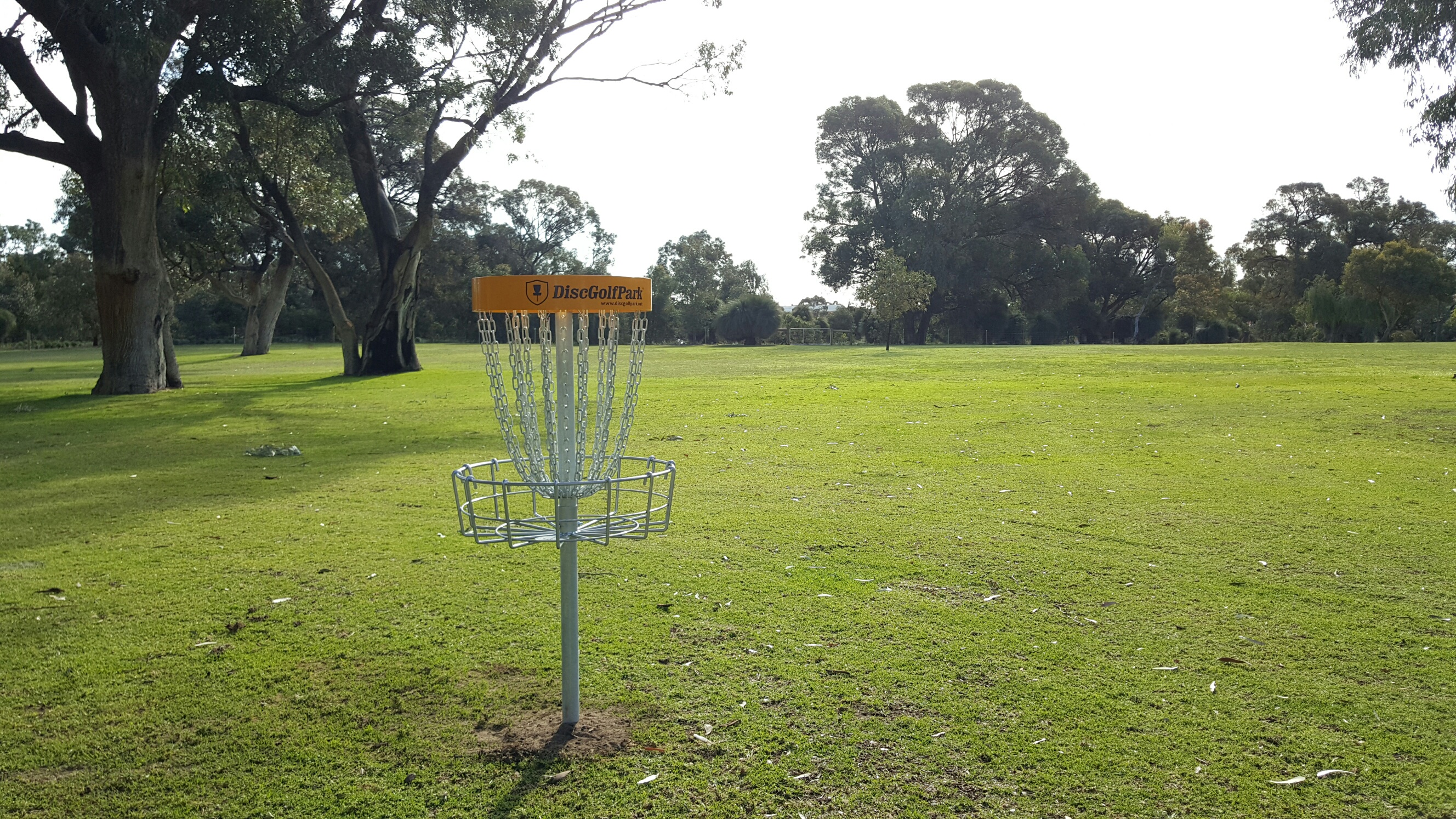 A disc golf basket on a mown clearing surrounded by gum trees.