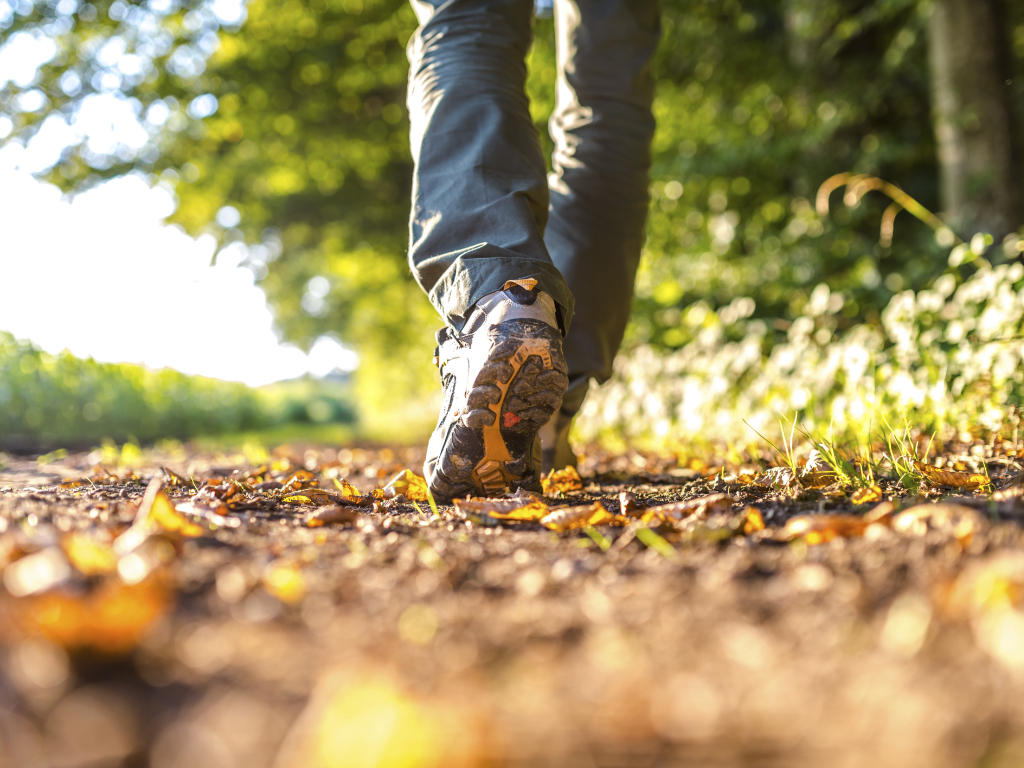 Close-up of walking boots on a leaf-strewn path in golden light.