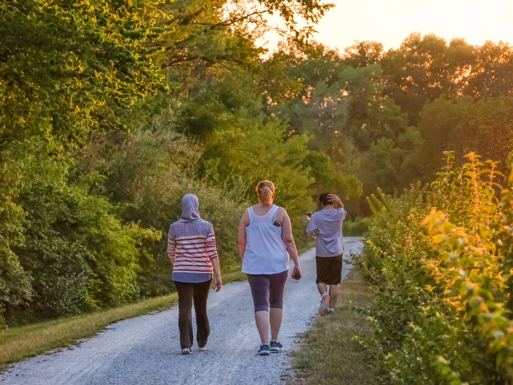 Three people walking a gravel path through bushland in late afternoon light.
