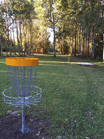 An orange-topped disc golf basket on grass with tall trees behind in late afternoon light.