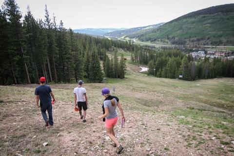 Three players walking down a grassy ski slope lined with pines.