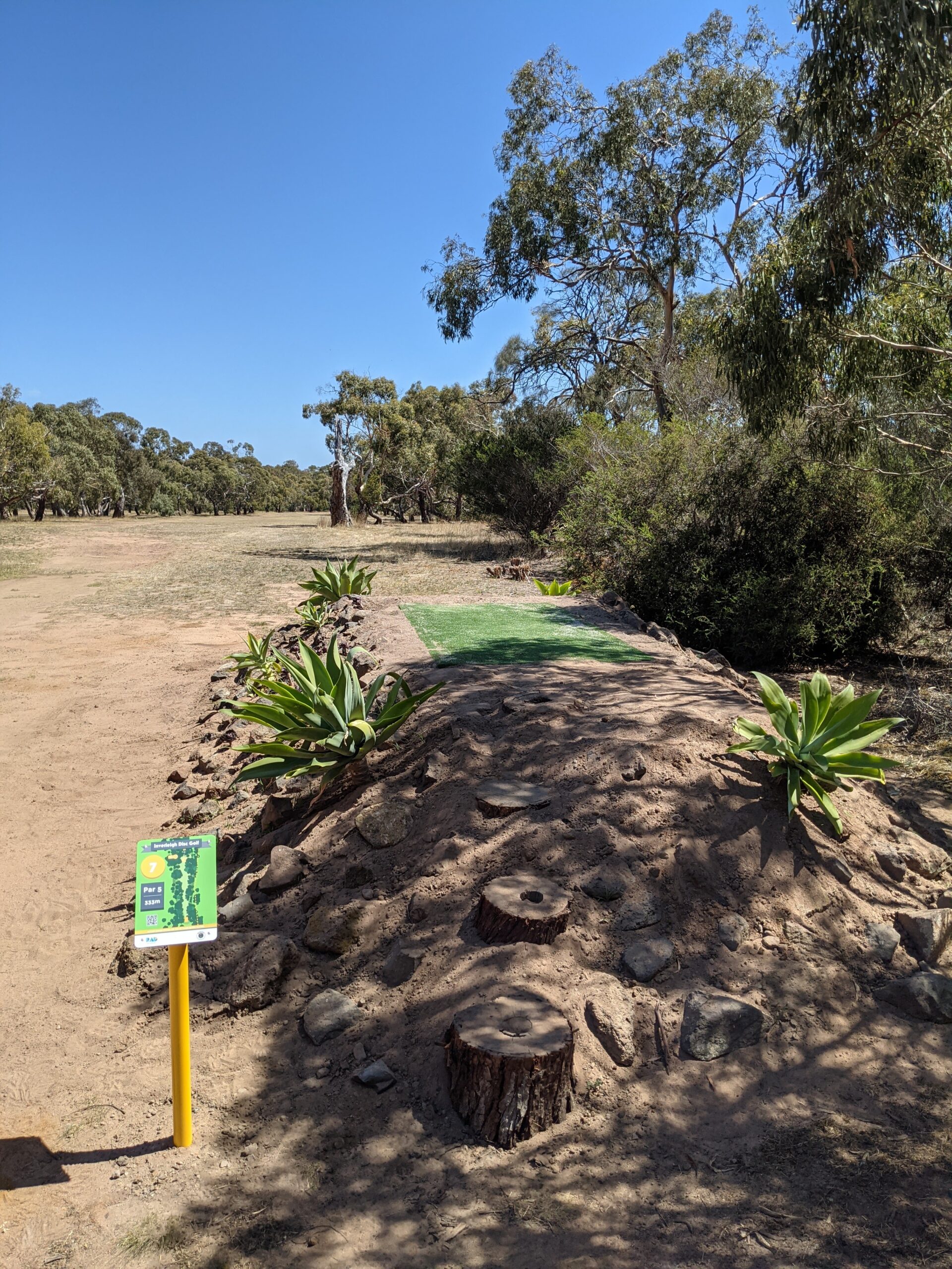 A raised tee pad planted with agaves, its tee sign standing beside it.