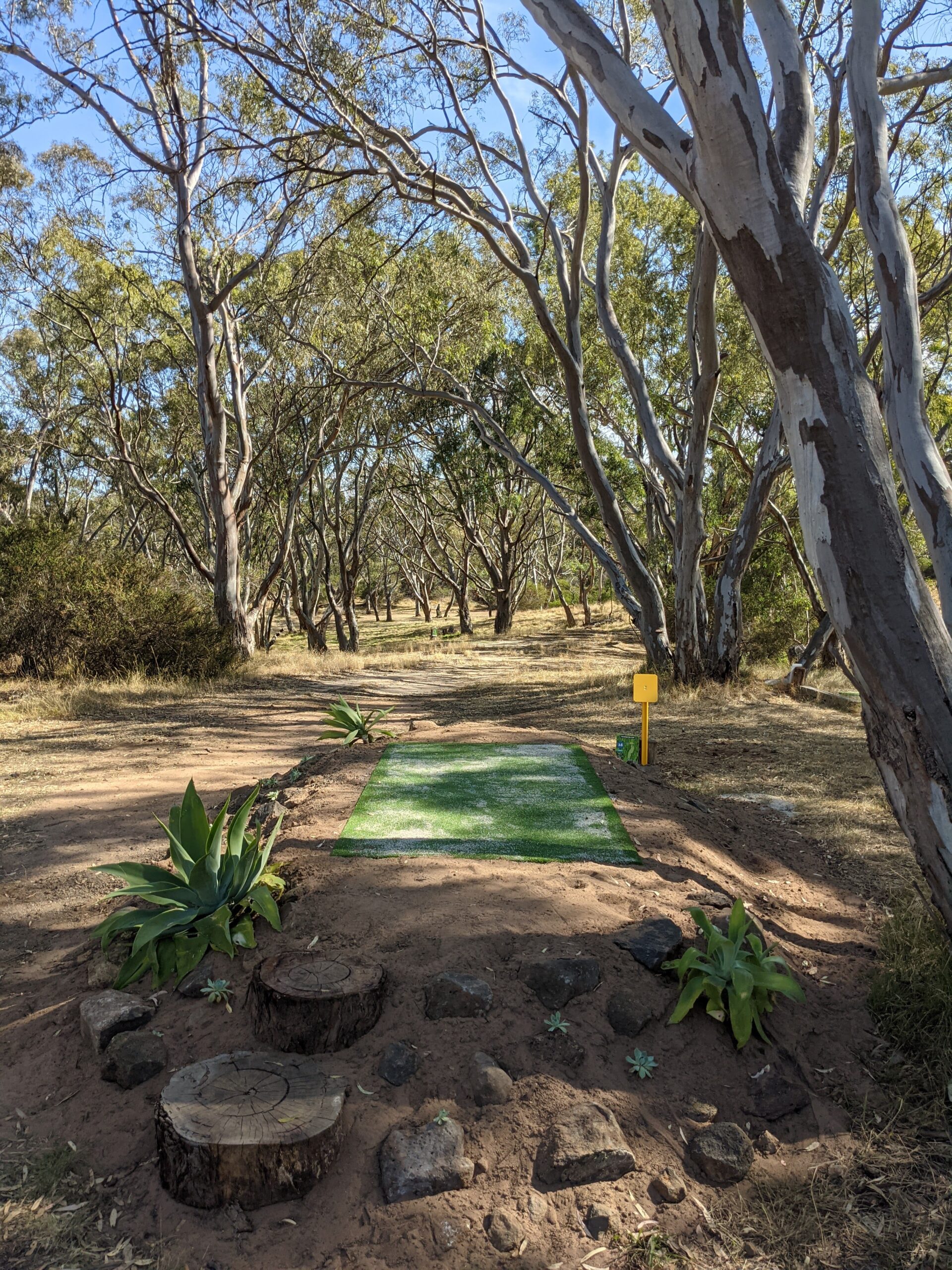 A tee pad set into bare ground with stone edging and native plantings.