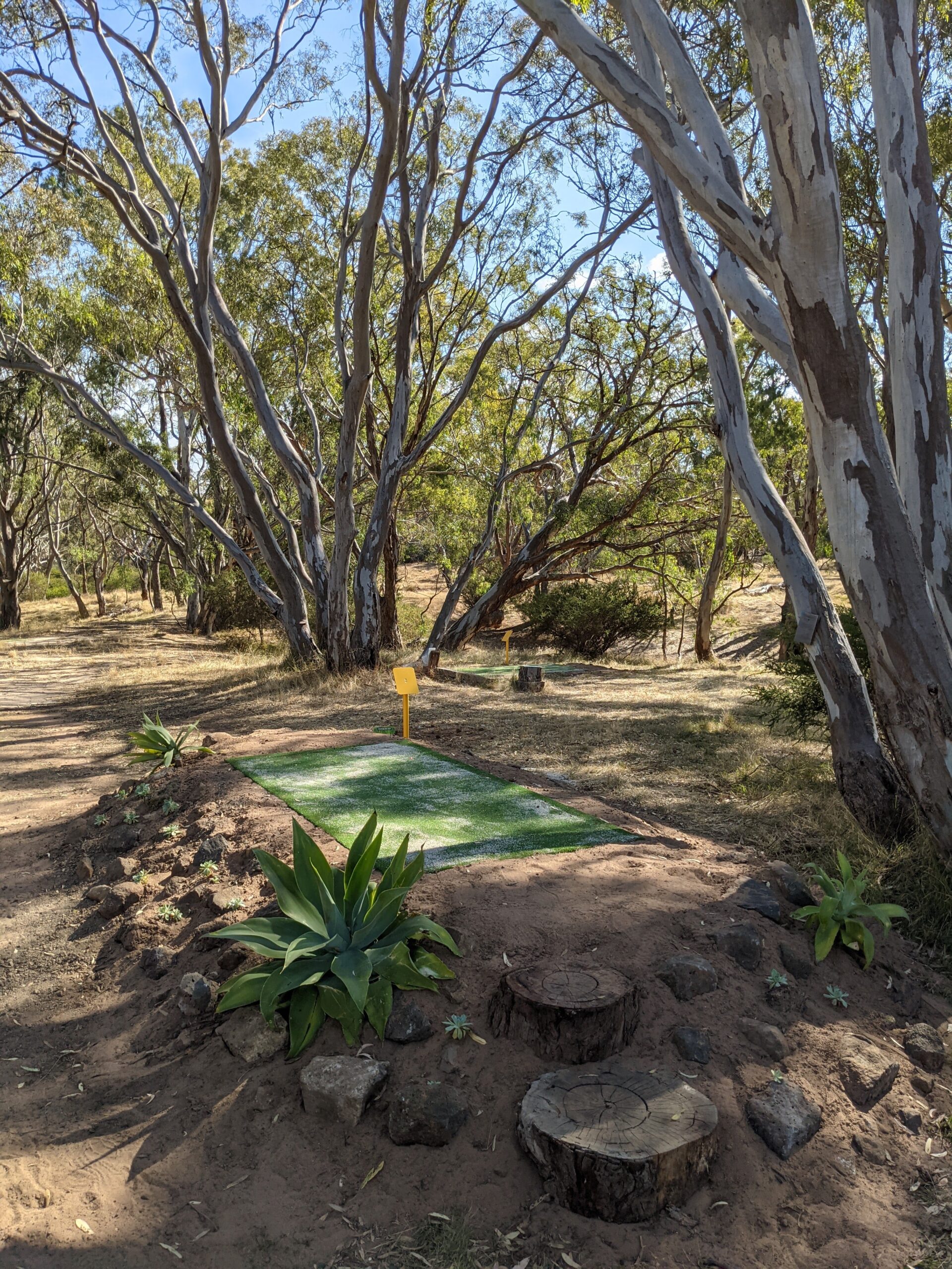 A green tee pad edged with stones and agaves, with log seating alongside.