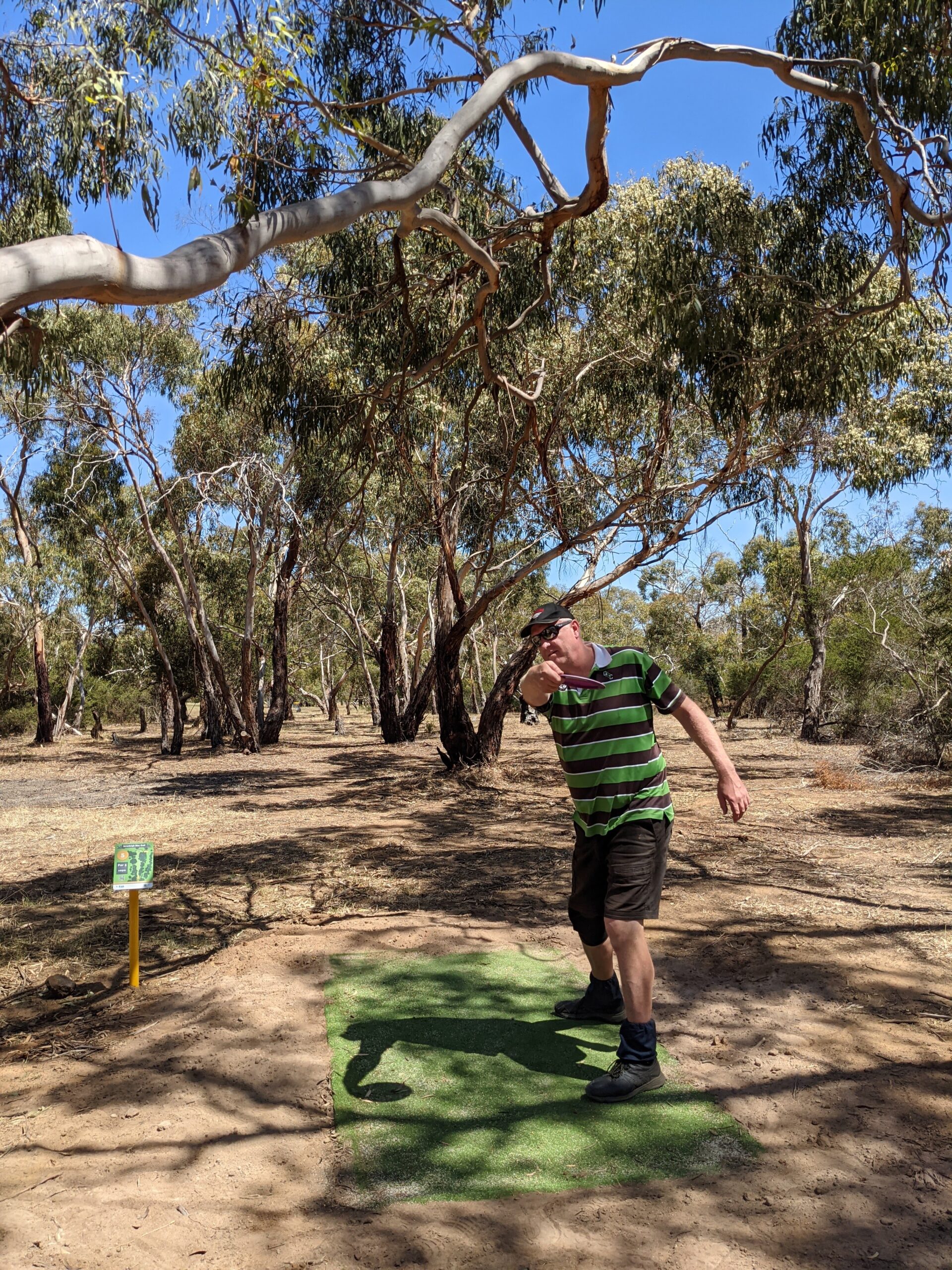 A player in a striped shirt throwing from a tee pad on a bushland course.