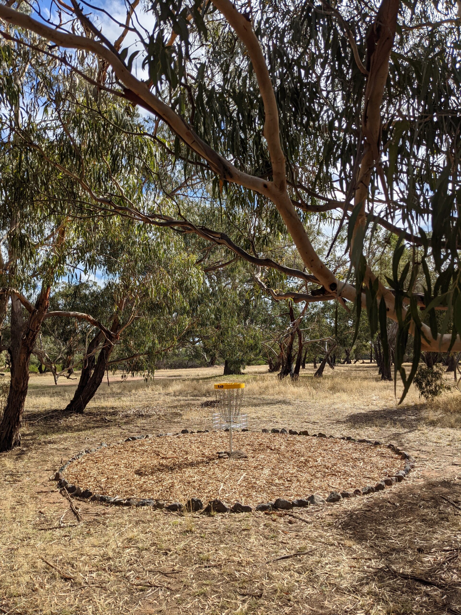 A disc golf basket ringed by a circle of stones on bare ground beneath gum trees.