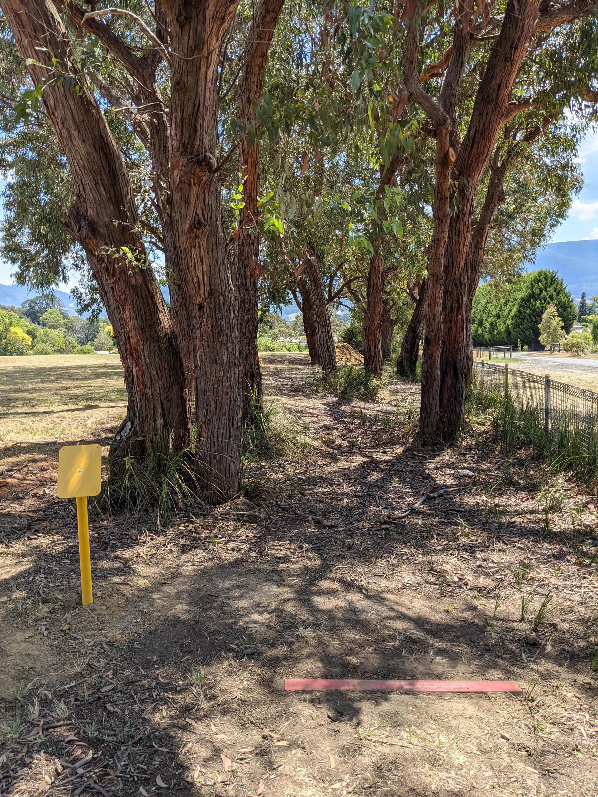 A yellow tee marker on bare ground beneath gum trees, the school field beyond.