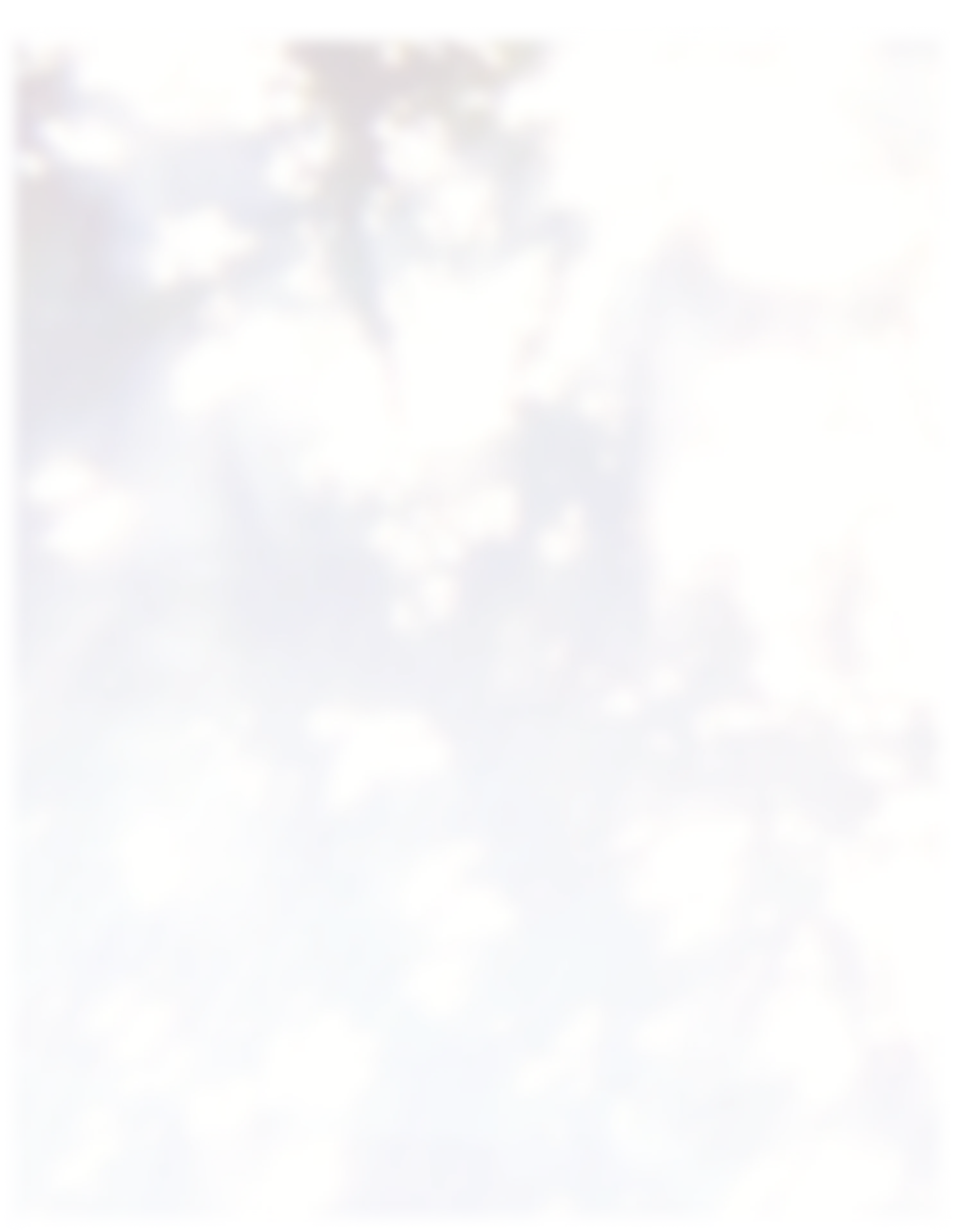 Background shadow image