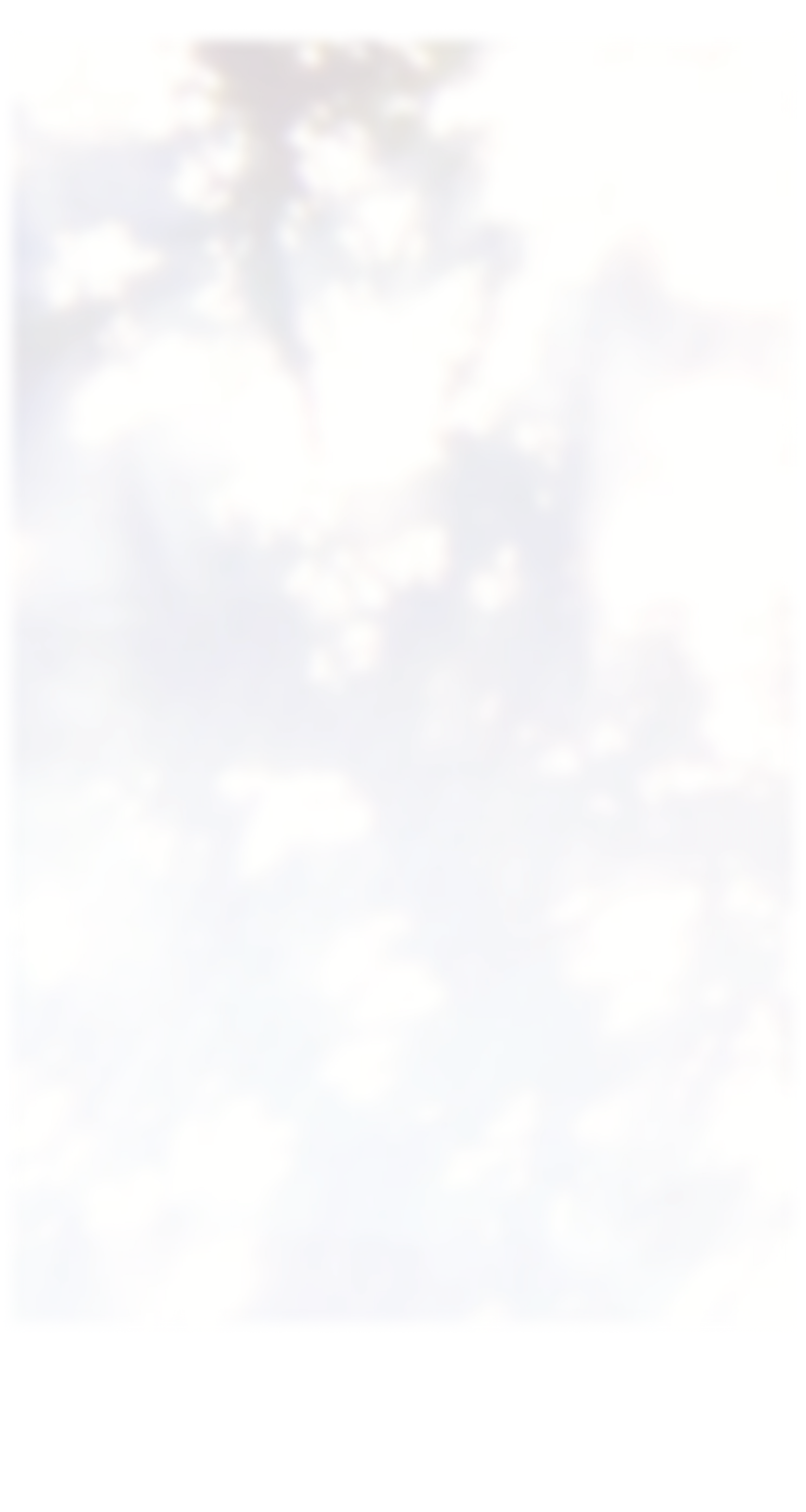 Soft abstract gradient background in off-white, lavender, and pale blue tones.