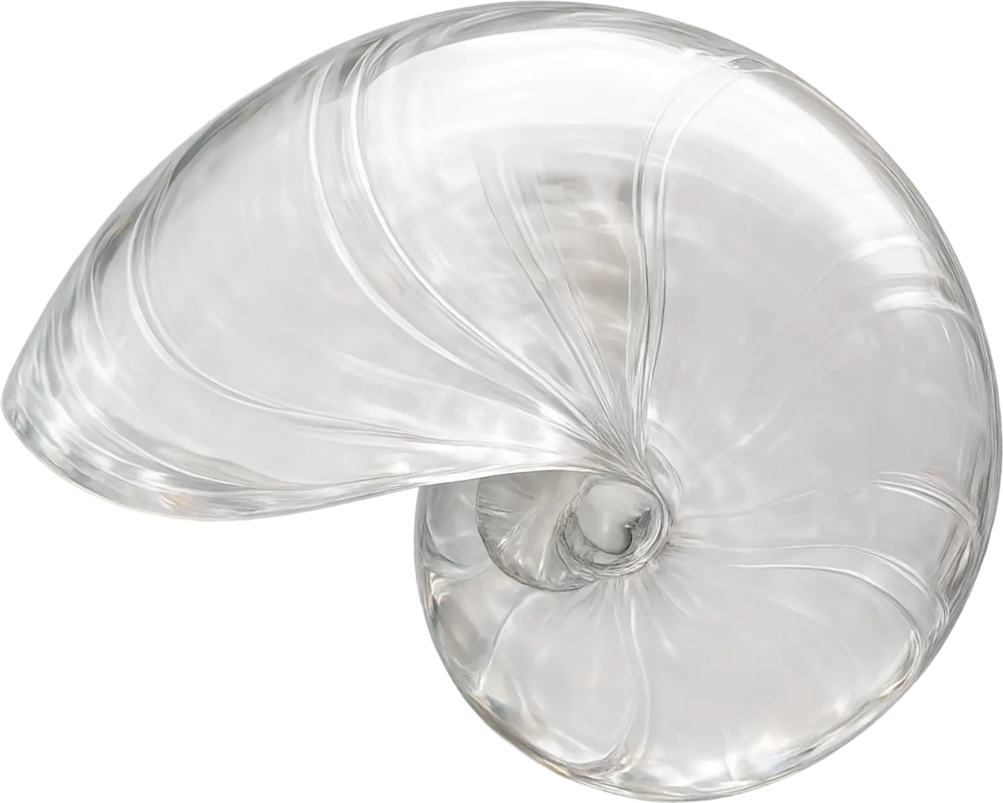 Transparent glass seashell sculpture.