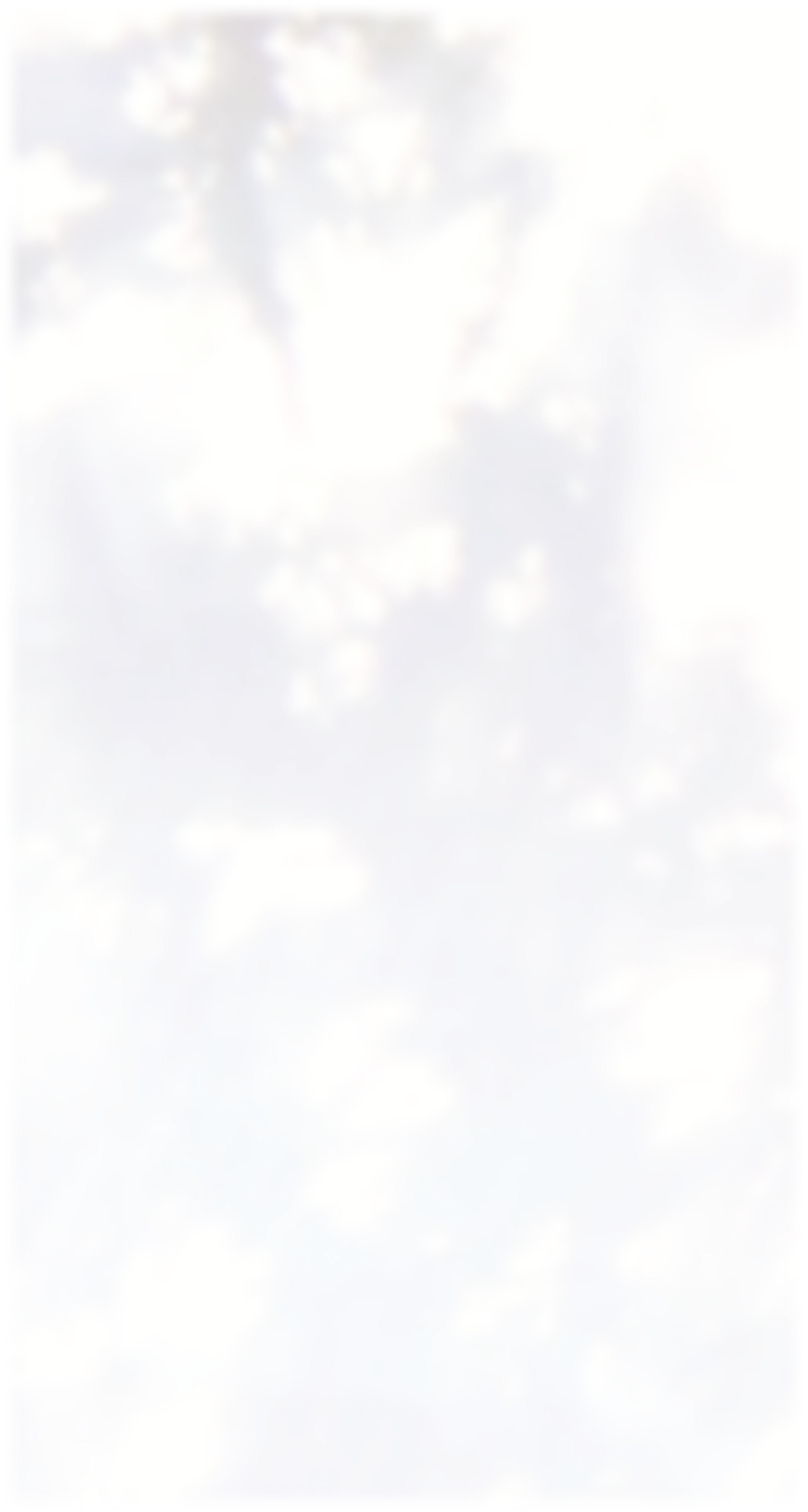 Soft abstract gradient background in off-white, lavender, and pale blue tones.