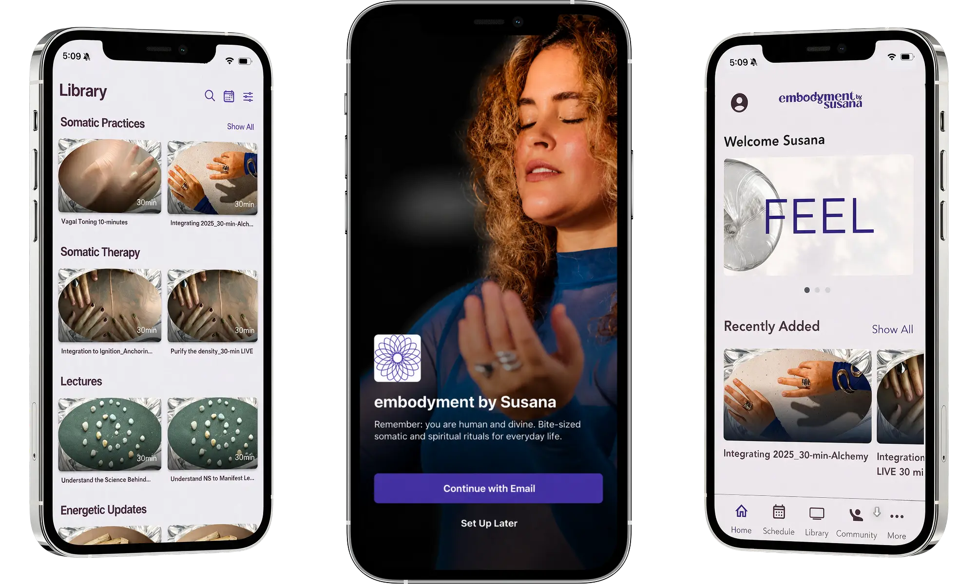 The phone mockups with the application screens