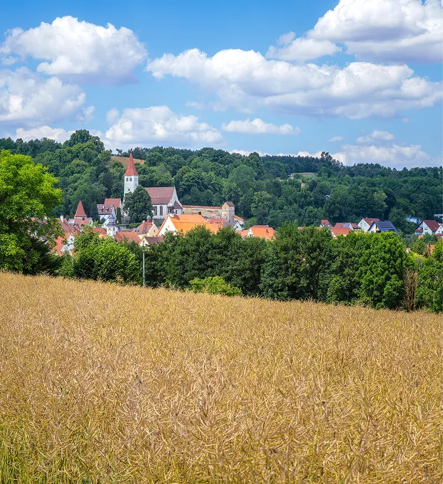 Feld mit Getreide vor Ort mit Kirche, Häusern und Wald unter einem blauen Himmel mit Wolken.
