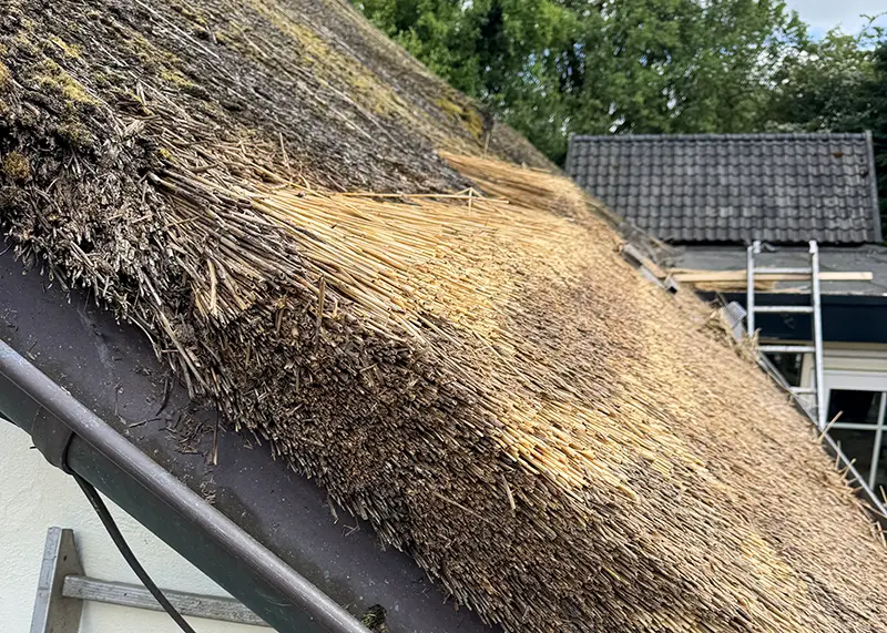 Een rieten dak dat opgedikt wordt: zij-aanzicht