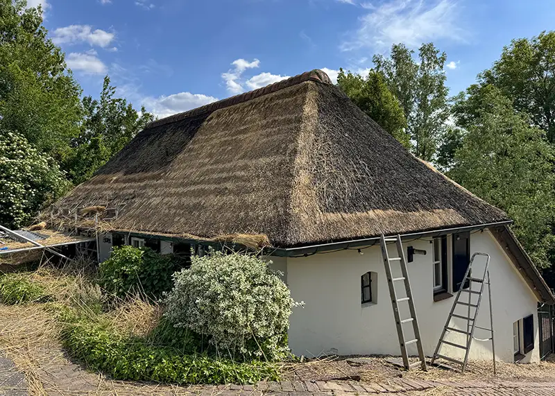 Een rieten dak wordt opgedikt