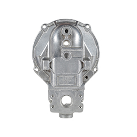 GOVERNOR COVER RQV