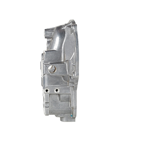 GOVERNOR COVER RQV