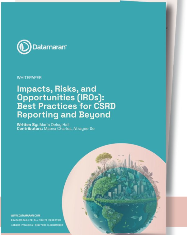 Cover of the Datamaran white paper "Impacts, Risks, and Opportunities (IROs): Best Practices for CSRD Reporting and Beyond"